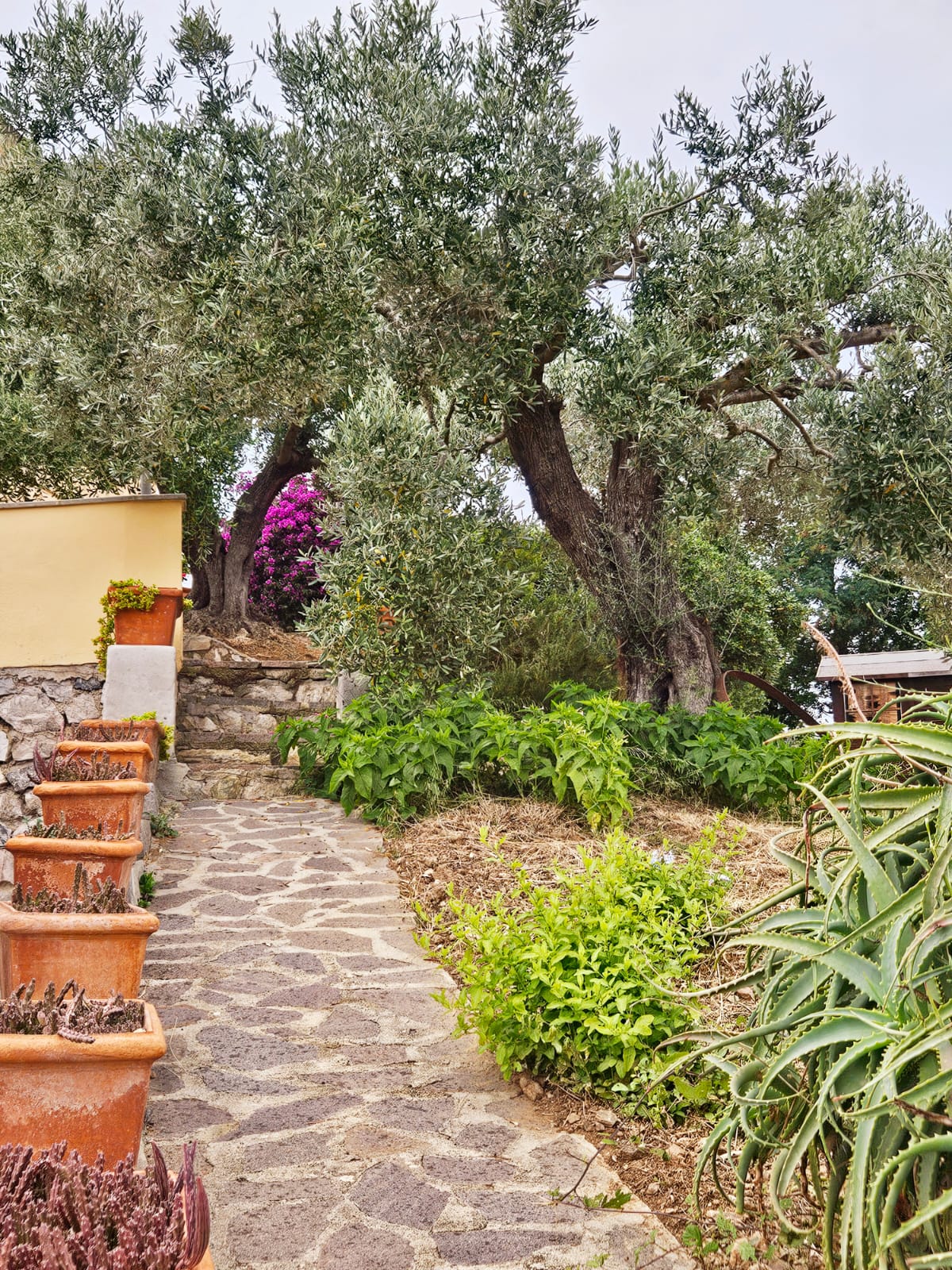 A Casa di Titti